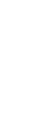 Text Box: MOBILE AUDIO