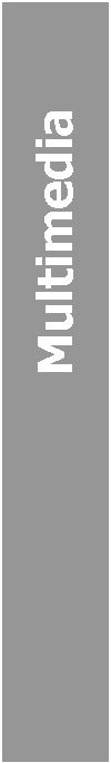 Text Box:                     Multimedia